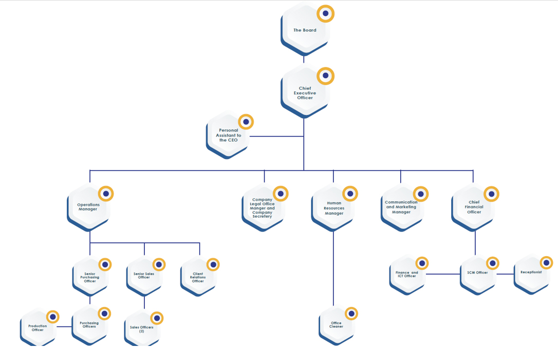 SDT Organisation Structure